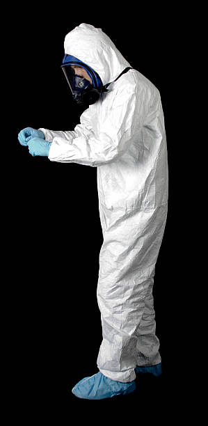 Environmental Consulting for Mold Prevention in Alpine, CA