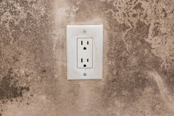 Best Mold Removal for HVAC Installations  in Alpine, CA